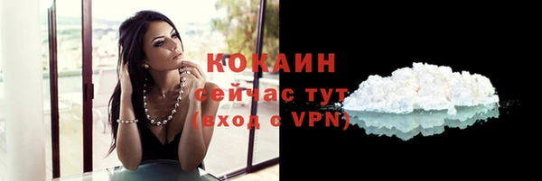 mix Белокуриха