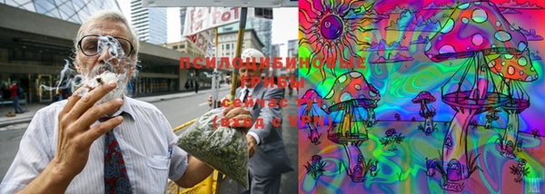 винт Белоозёрский