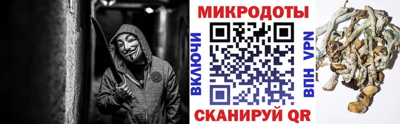 МЕГА зеркало  Михайловка  Псилоцибиновые грибы MAGIC MUSHROOMS 